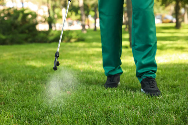 Best Bed Bug Extermination  in Rutgers University Busch Campus, NJ