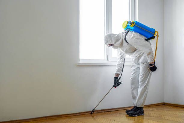 Best Affordable Pest Control Services  in Rutgers University Busch Campus, NJ