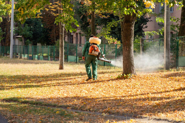 Best Pest Control Near Me  in Rutgers University Busch Campus, NJ