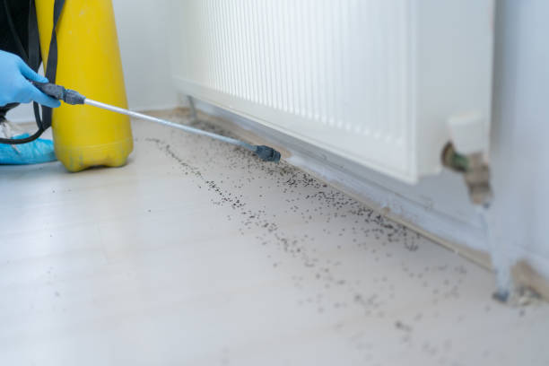 Best Ant Control Services  in Rutgers University Busch Campus, NJ
